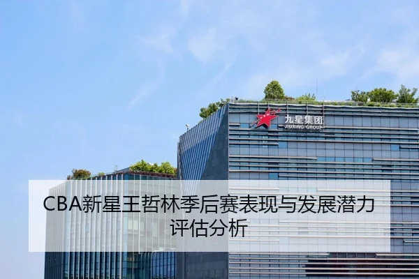 CBA新星王哲林季后赛表现与发展潜力评估分析